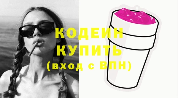 индика Ладушкин