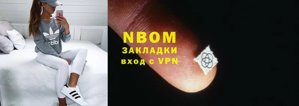 индика Ладушкин