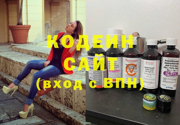 индика Ладушкин