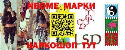 бошки Кимры