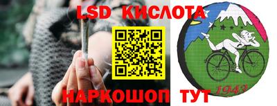 бошки Кингисепп