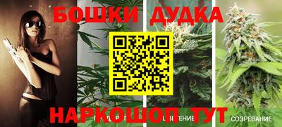 амф Кандалакша
