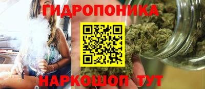 apvp Канаш