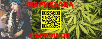 бошки Кингисепп