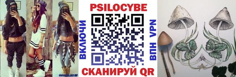Галлюциногенные грибы Cubensis  где купить наркоту  Малгобек 