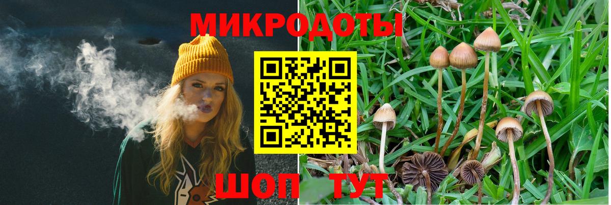 Псилоцибиновые грибы Magic Shrooms  Вход с VPN  Малгобек 